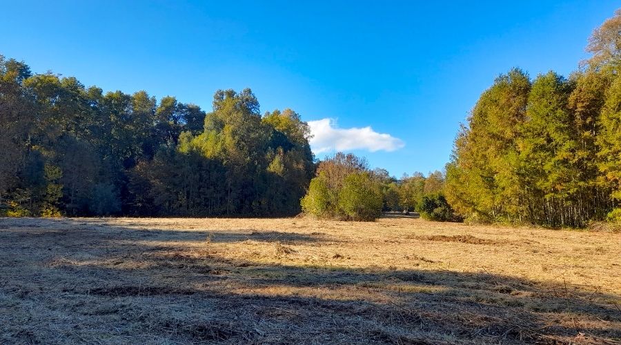 Parcelas en Relún – Venta en Verde a solo 12,5 km de Villarrica