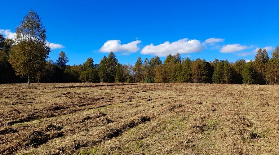 Parcelas en Relún – Venta en Verde a solo 12,5 km de Villarrica