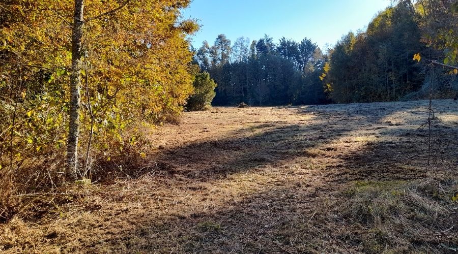 Parcelas en Relún – Venta en Verde a solo 12,5 km de Villarrica