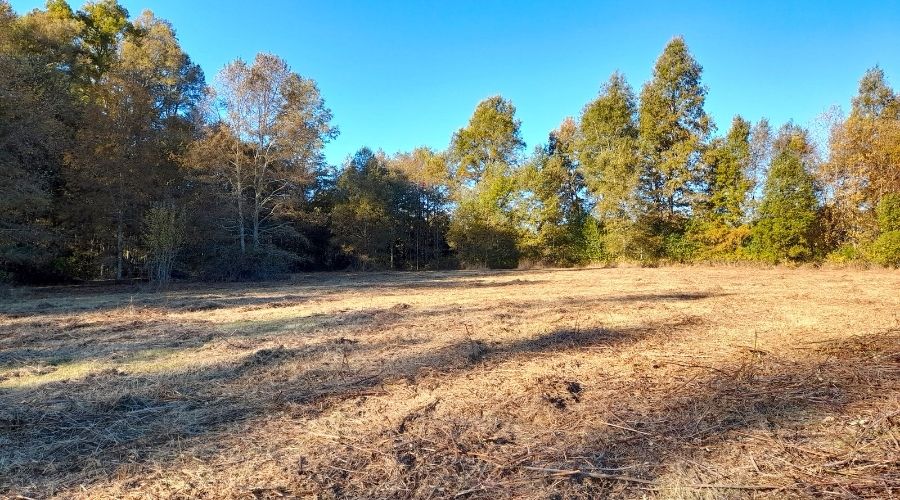 Parcelas en Relún – Venta en Verde a solo 12,5 km de Villarrica