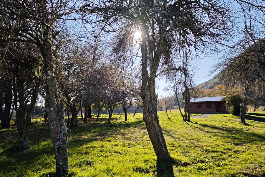 ¡NUEVO PROYECTO! – Parcelas La Comarca, Villarrica