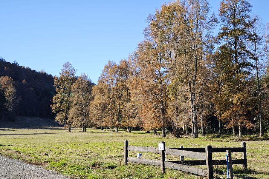 ¡NUEVO PROYECTO! – Parcelas La Comarca, Villarrica