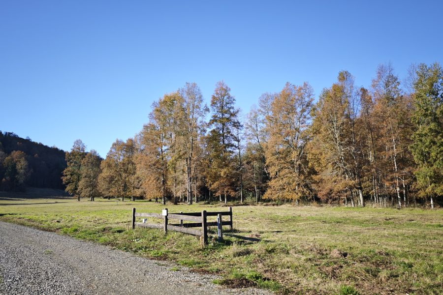 ¡NUEVO PROYECTO! – Parcelas La Comarca, Villarrica