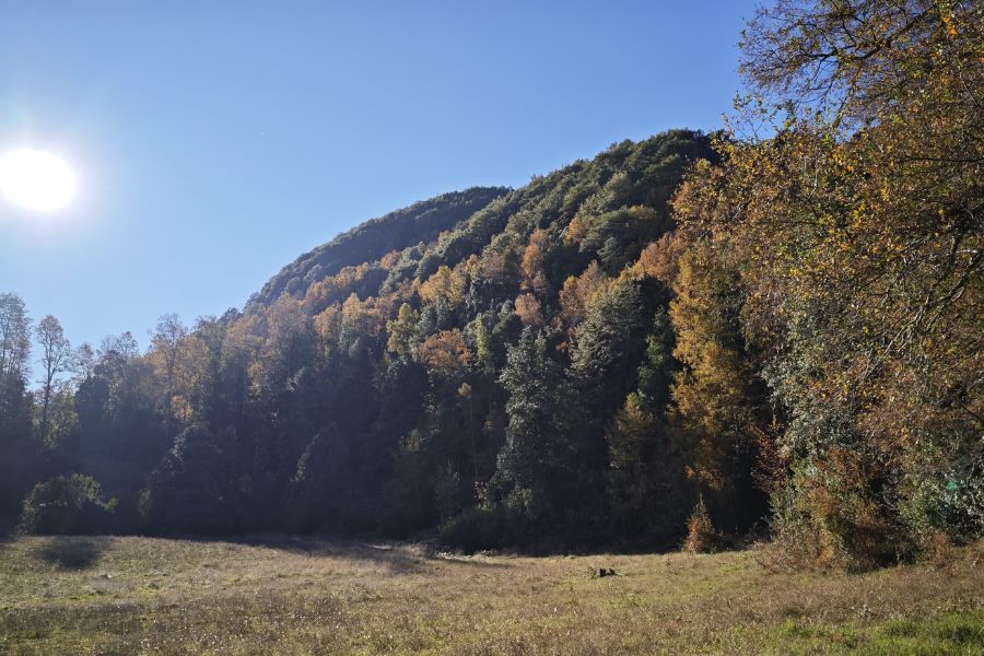 ¡NUEVO PROYECTO! – Parcelas La Comarca, Villarrica
