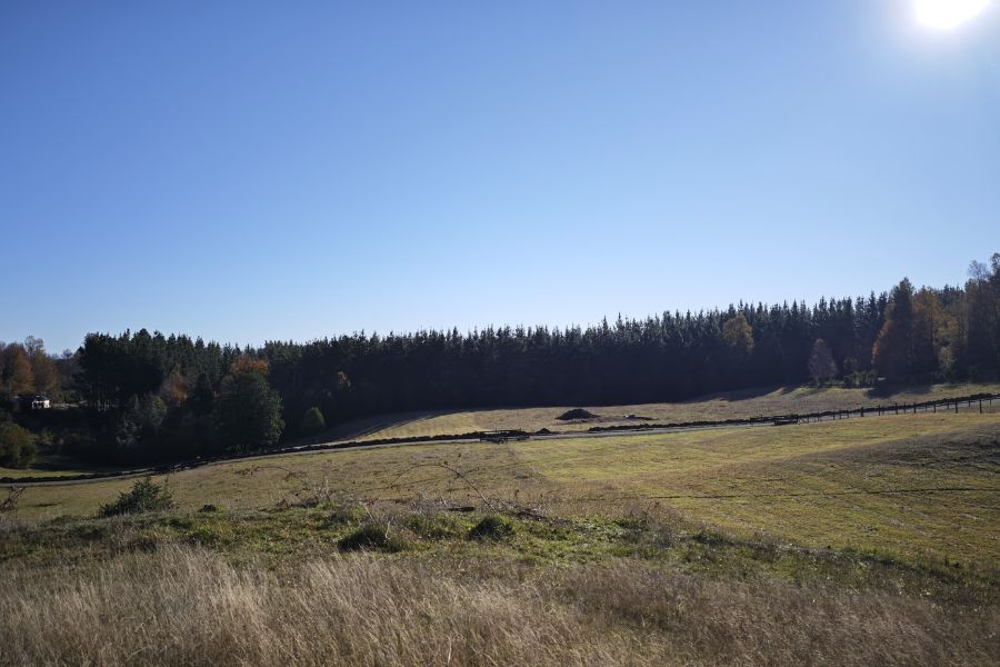 ¡NUEVO PROYECTO! – Parcelas La Comarca, Villarrica
