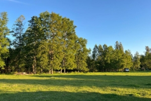 ¡NUEVO PROYECTO! – Parcelas La Comarca, Villarrica