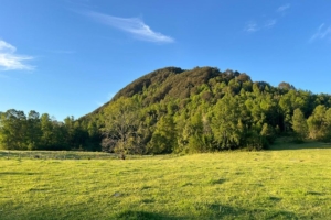 ¡NUEVO PROYECTO! – Parcelas La Comarca, Villarrica