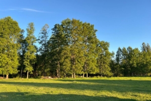 ¡NUEVO PROYECTO! – Parcelas La Comarca, Villarrica