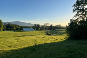 ¡NUEVO PROYECTO! – Parcelas La Comarca, Villarrica