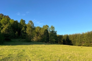 ¡NUEVO PROYECTO! – Parcelas La Comarca, Villarrica