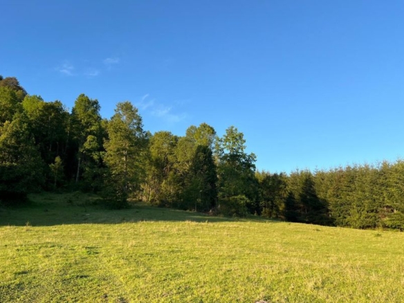¡NUEVO PROYECTO! – Parcelas La Comarca, Villarrica