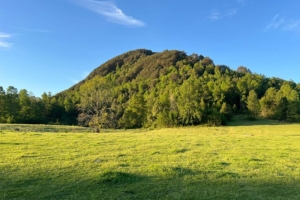 ¡NUEVO PROYECTO! – Parcelas La Comarca, Villarrica