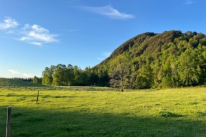 ¡NUEVO PROYECTO! – Parcelas La Comarca, Villarrica