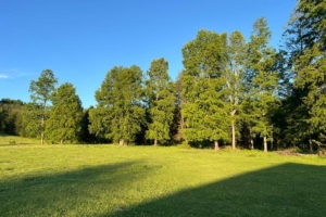 ¡NUEVO PROYECTO! – Parcelas La Comarca, Villarrica