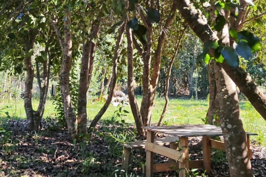 EN VENTA: Parcela de 5.000 m² con Cabaña y Borde de Río Cruces