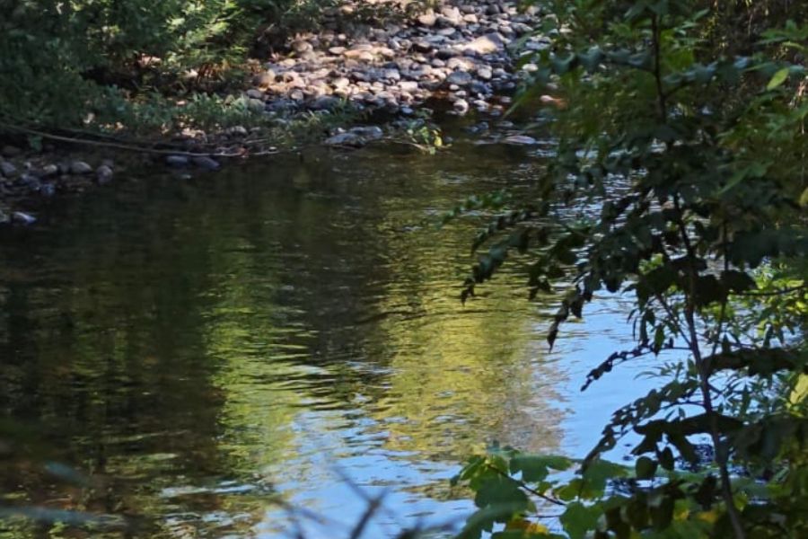 EN VENTA: Parcela de 5.000 m² con Cabaña y Borde de Río Cruces