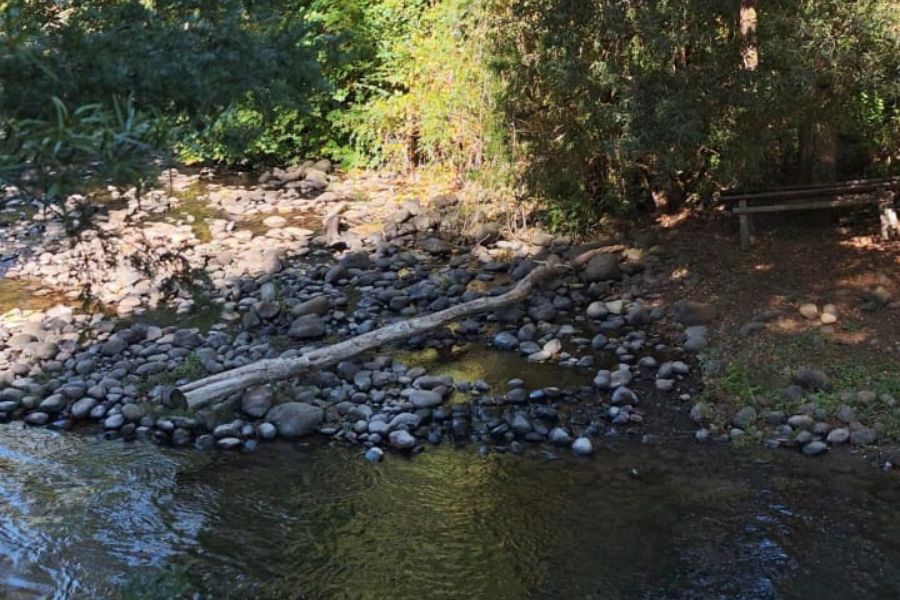 EN VENTA: Parcela de 5.000 m² con Cabaña y Borde de Río Cruces