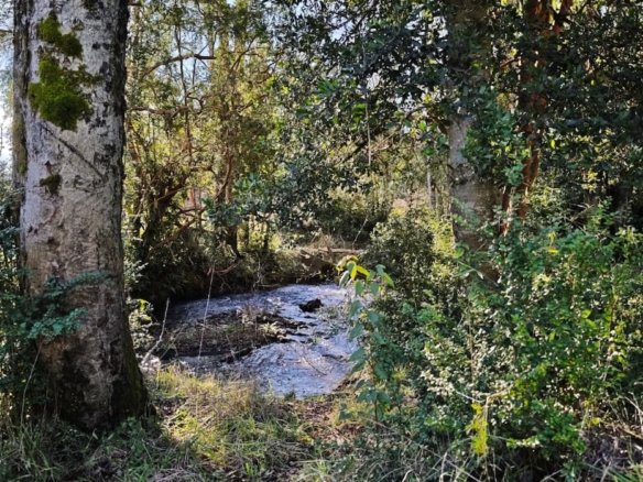 Proyecto Río Huiscapi - Villarrica