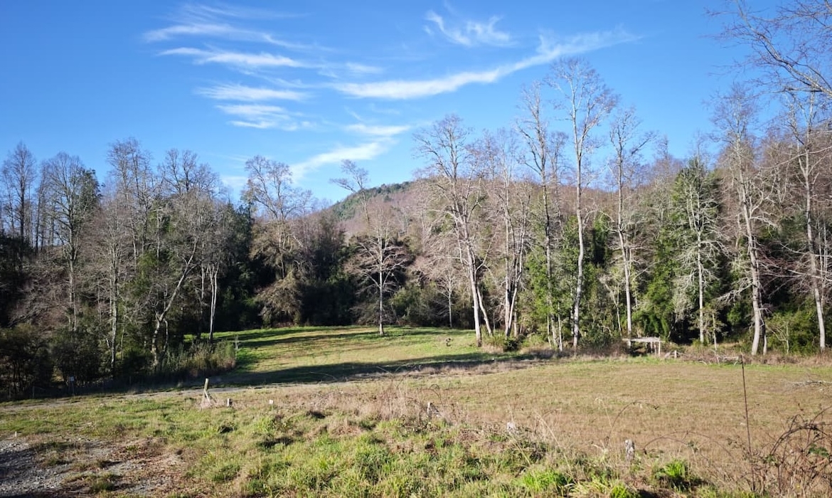Proyecto Río Huiscapi – Villarrica