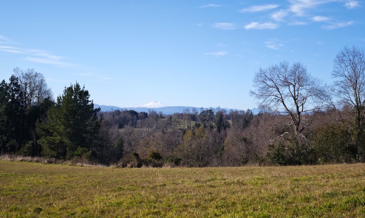 Proyecto Río Huiscapi - Villarrica