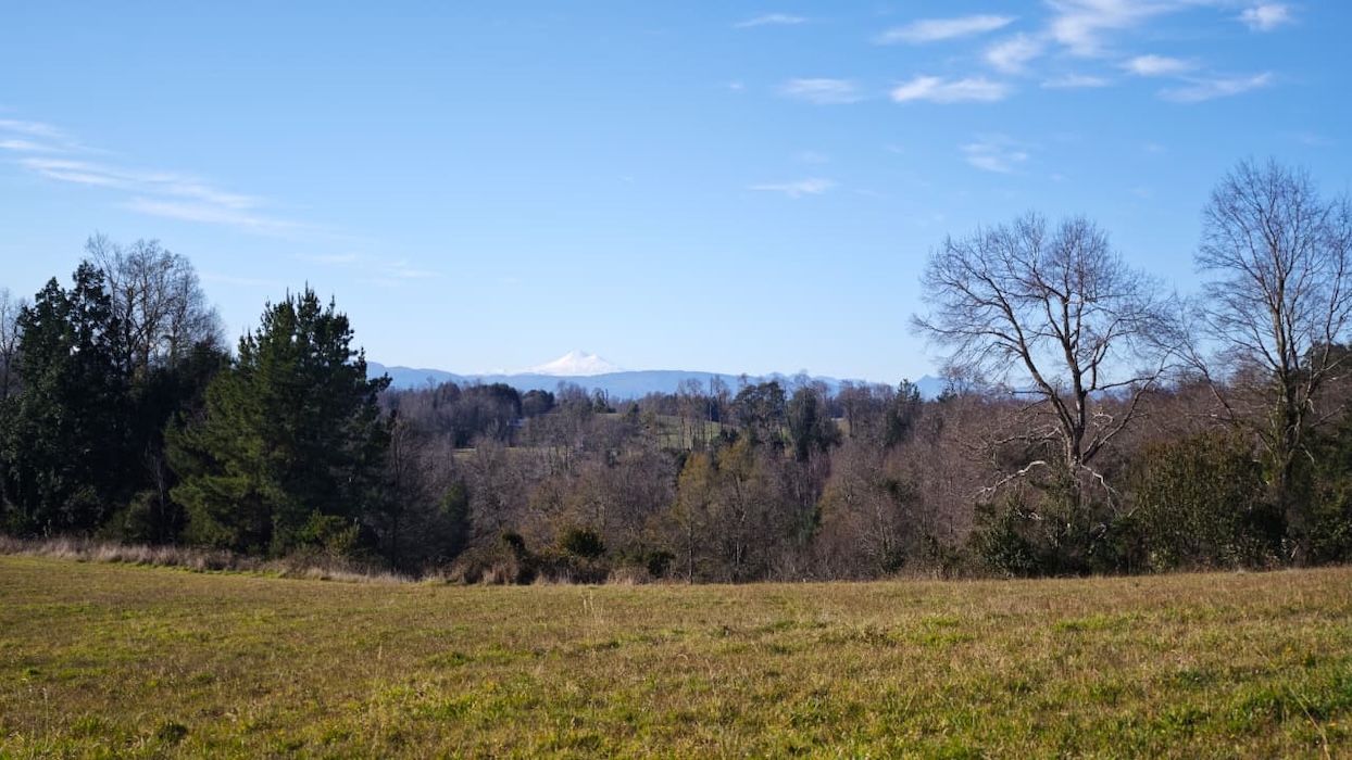 Proyecto Río Huiscapi - Villarrica