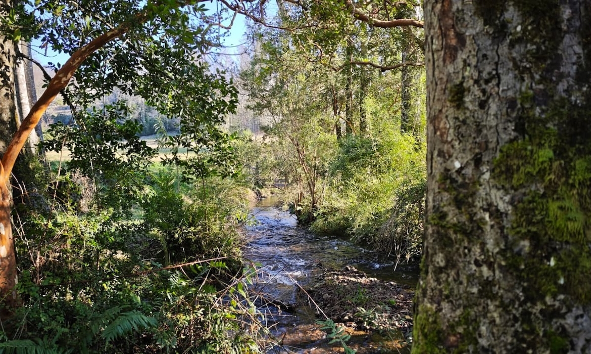Proyecto Río Huiscapi - Villarrica