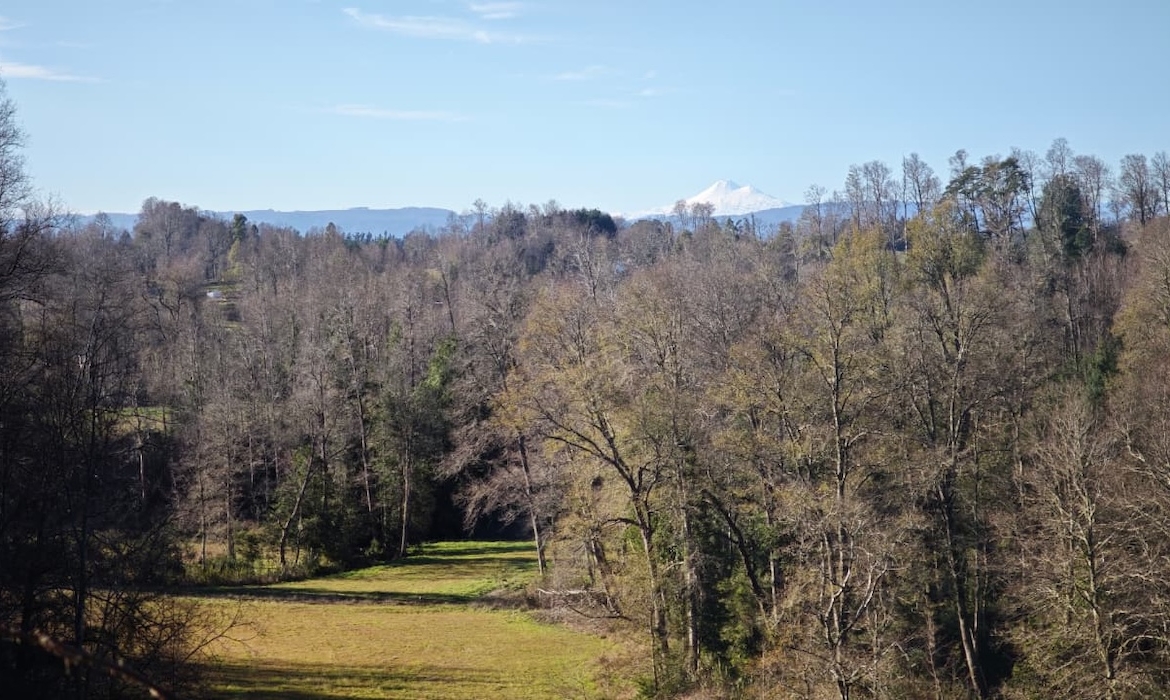Proyecto Río Huiscapi - Villarrica