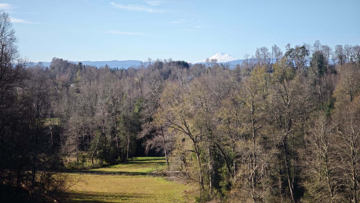 Proyecto Río Huiscapi - Villarrica