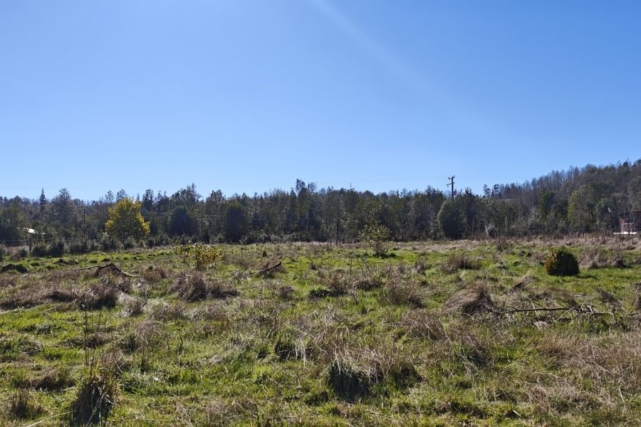 Parcela El Arrayan villarrica