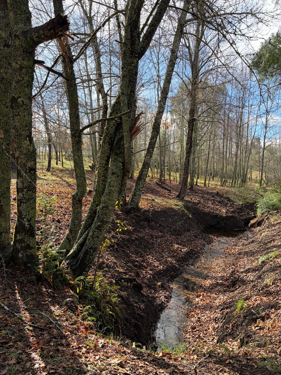 Parcela con cabaña + quincho a 14 km de Villarrica 1