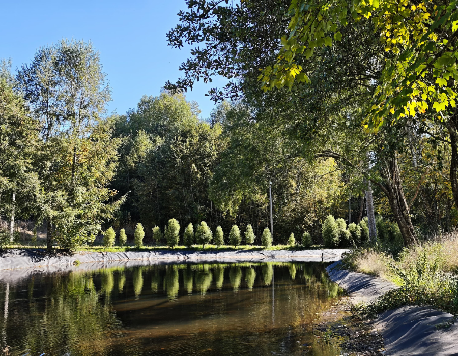 parque nativo villarrica