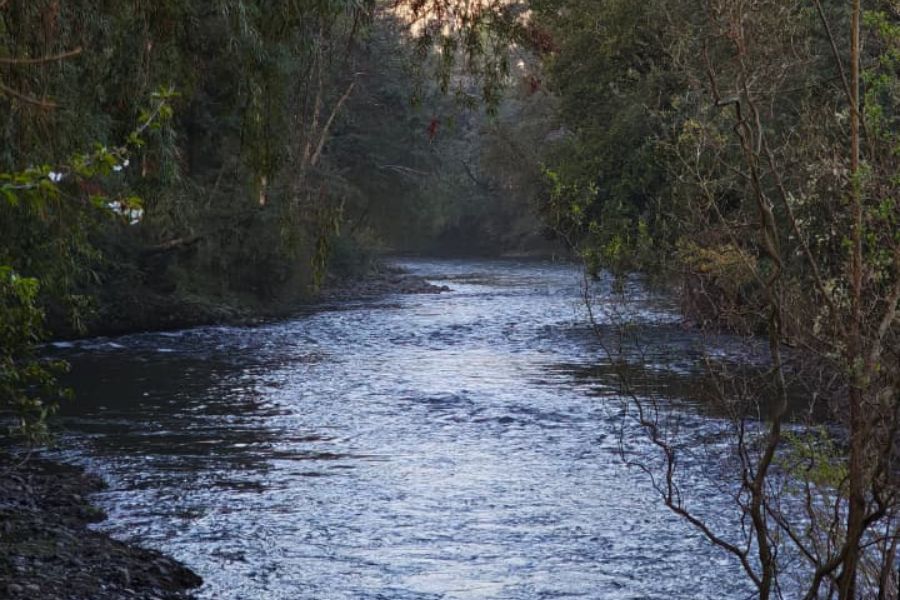Propiedad en Ñancul – Villarrica | a pasos del río Voipir